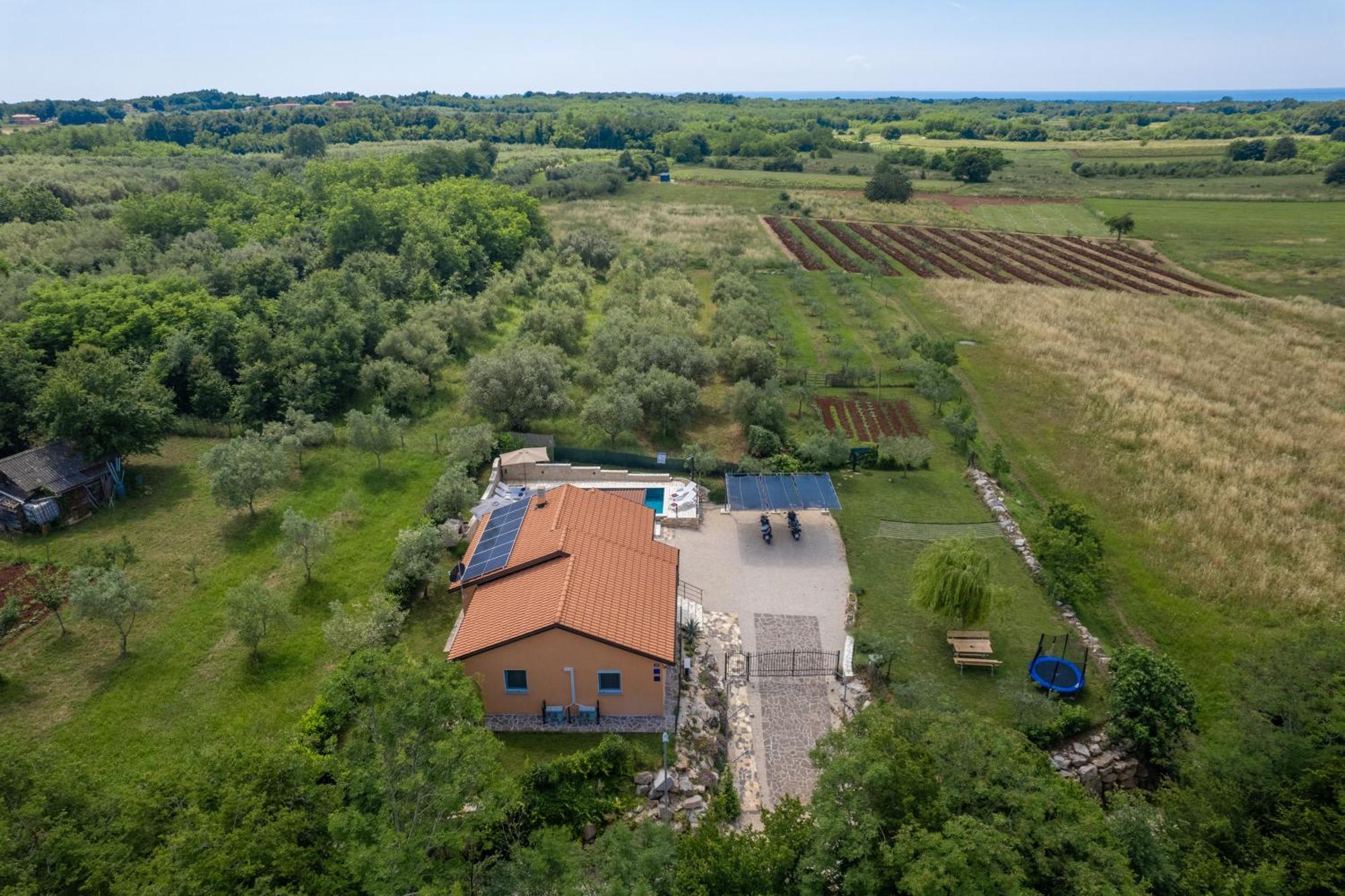 Holiday home Pendolina With Private Pool Buje