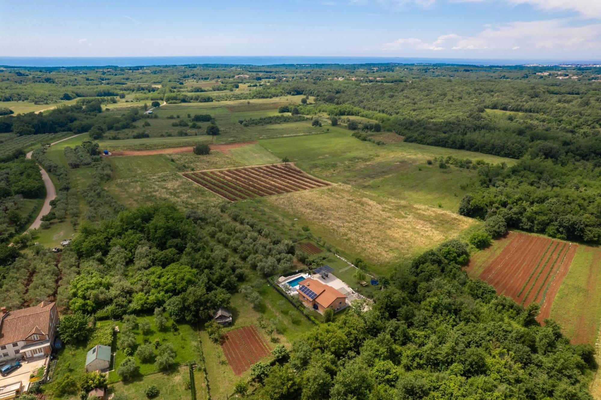 Holiday home Pendolina With Private Pool Buje